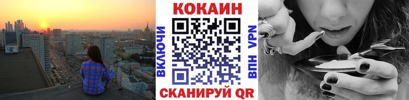 где можно купить наркотик  Нестеров  mega зеркало  Cocaine Fish Scale 