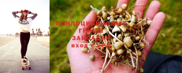 прущий лед Абдулино