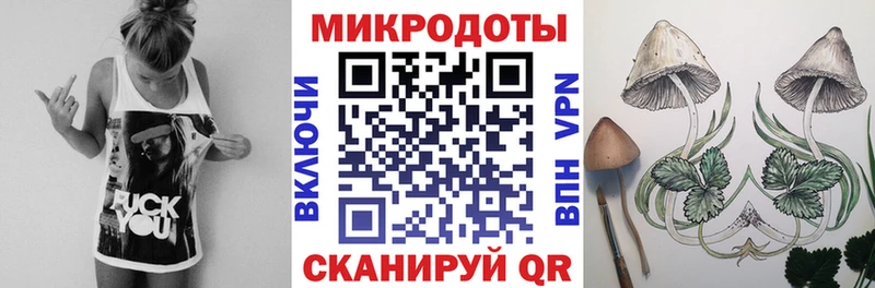Псилоцибиновые грибы мицелий  Нестеров 